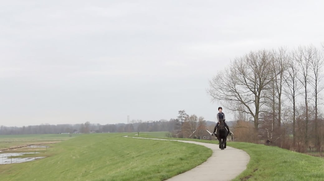 Sjoerd Litjens / Ontmoeting met Herxen / Documentaire / Still / Waldemar de Vries